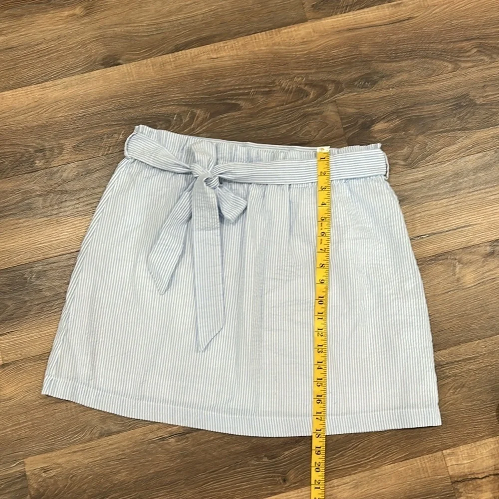 Mud Pie blue & white gingham pattern lined Skirt size medium